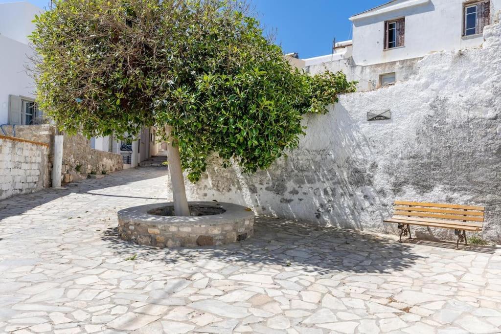 Villa Avgerinos Naxos City Exterior foto